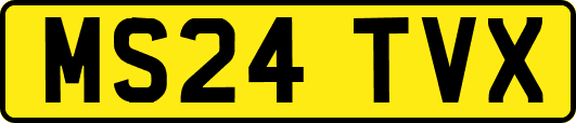 MS24TVX