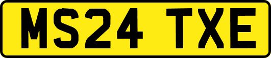 MS24TXE