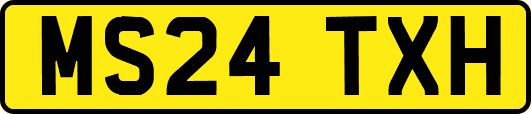 MS24TXH