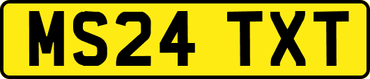 MS24TXT