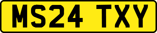 MS24TXY