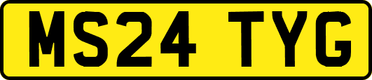 MS24TYG