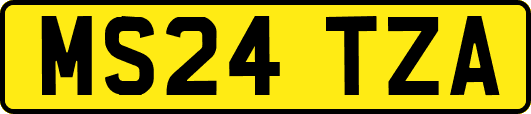 MS24TZA