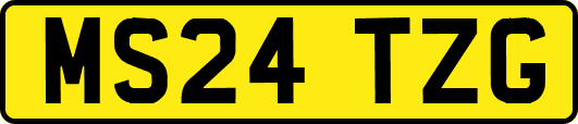 MS24TZG