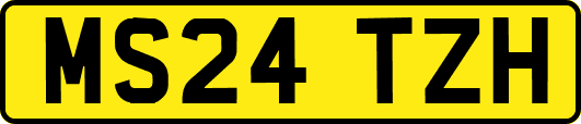 MS24TZH