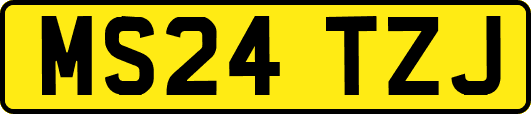 MS24TZJ