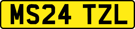 MS24TZL