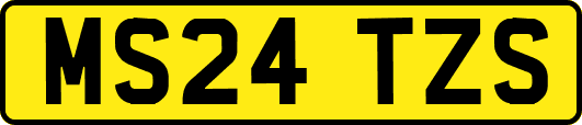 MS24TZS