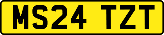 MS24TZT