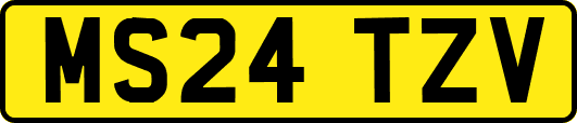 MS24TZV