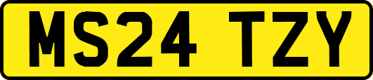 MS24TZY