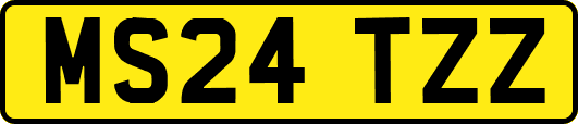 MS24TZZ