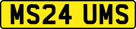 MS24UMS
