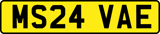 MS24VAE