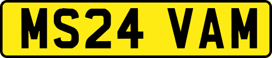 MS24VAM