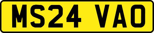 MS24VAO