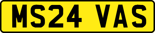 MS24VAS