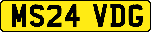 MS24VDG