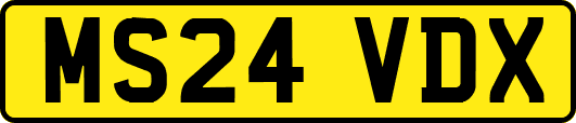 MS24VDX