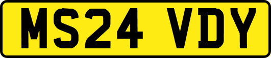 MS24VDY