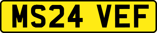 MS24VEF