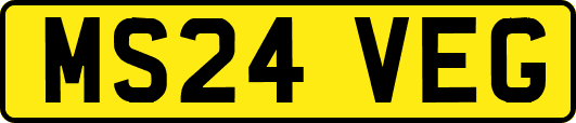 MS24VEG