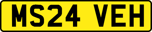 MS24VEH