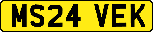 MS24VEK