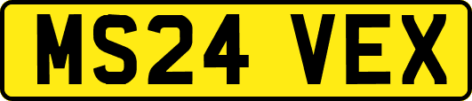 MS24VEX