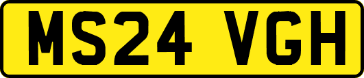 MS24VGH
