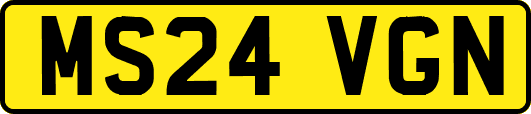 MS24VGN