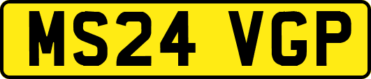 MS24VGP