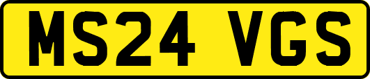 MS24VGS