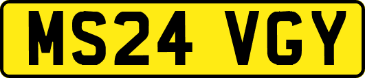 MS24VGY