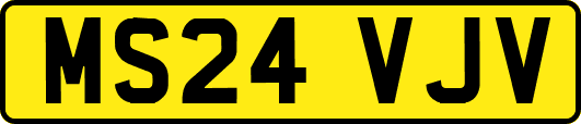 MS24VJV