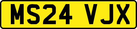 MS24VJX