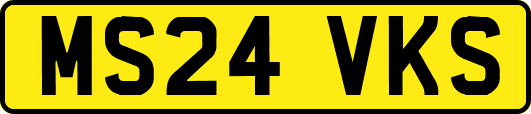MS24VKS