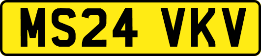 MS24VKV