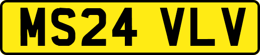 MS24VLV
