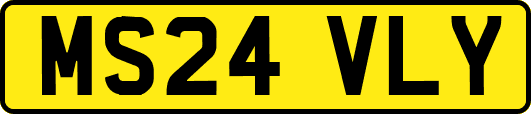 MS24VLY