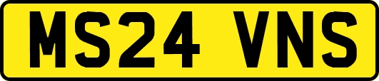 MS24VNS