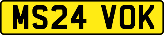 MS24VOK
