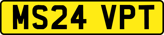 MS24VPT