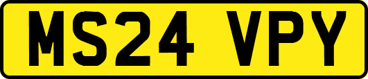MS24VPY