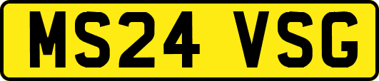 MS24VSG