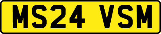 MS24VSM