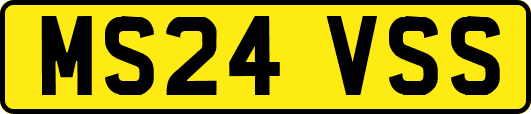 MS24VSS