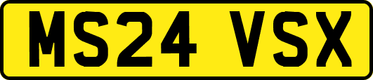 MS24VSX