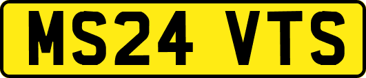 MS24VTS