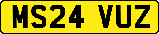 MS24VUZ
